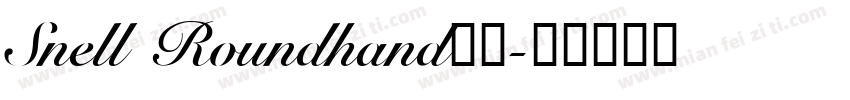 Snell Roundhand字体字体转换